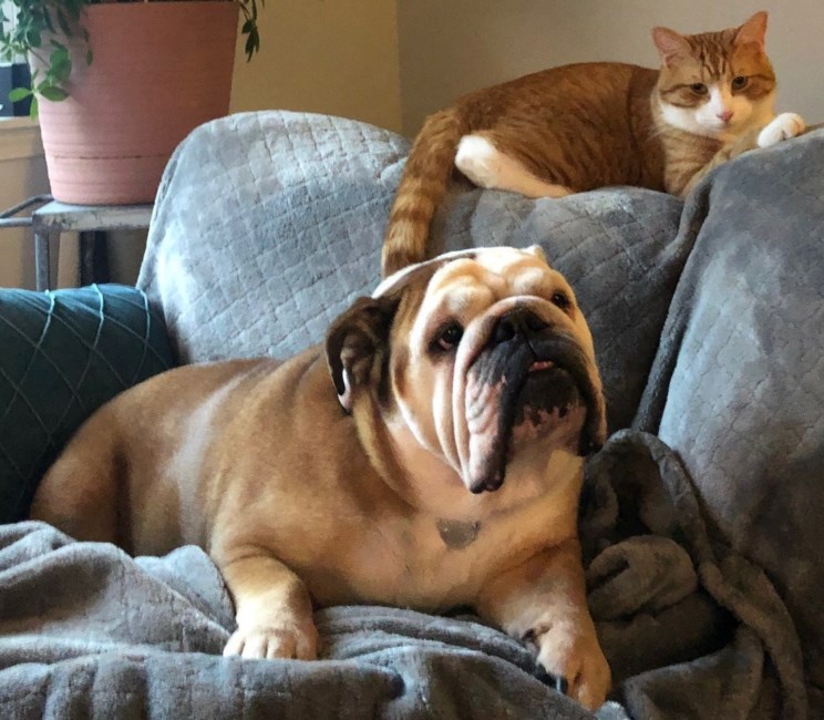 Obituary of Richard M. Page