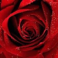 Obituary of Linda Diane Harris