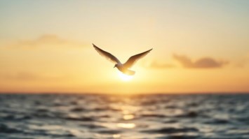 Obituary of Billie Charlene Wiggins