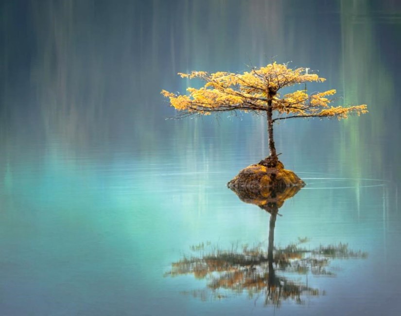 Obituary of Danny Clifton Hall