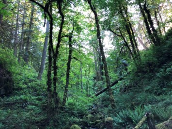 Obituary of Sandra "Sandy" Kaye (Hanes) Rebeske