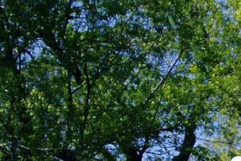 Gary Rothwell Obituary - Rockford, IL