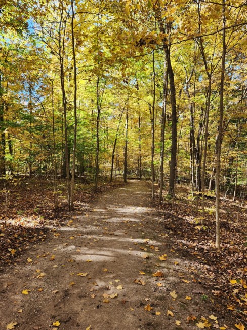 Obituary of David Charles Koontz