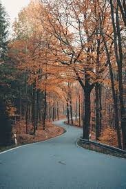 Obituary of Wilfredo Correa Espinosa