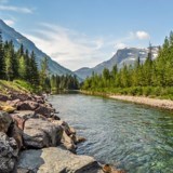 Obituary of Rodney Wayne Saffle