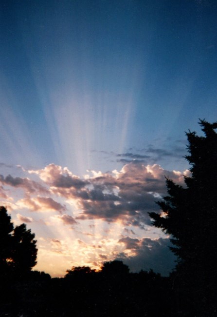 Obituary of Willard Benny B. Wild Jr.