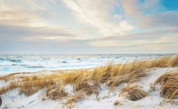 Obituary of Maurice Dalton