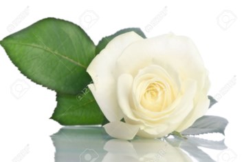 Obituary of Susan Marie Burgess