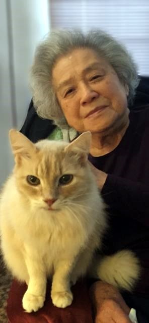 Obituario de Yasuko Komori
