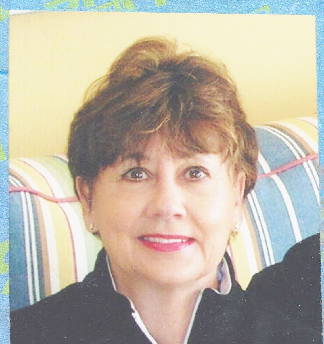 Obituary of Sara Ann Springer "Sally"