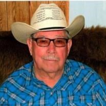 Obituary of Robert Berton Hoback