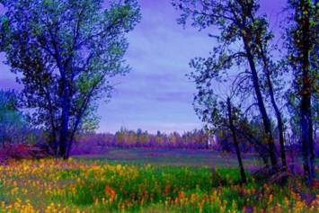 Obituario de Theodore Murray White