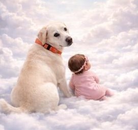 Obituary of Scottie Kay Hebert