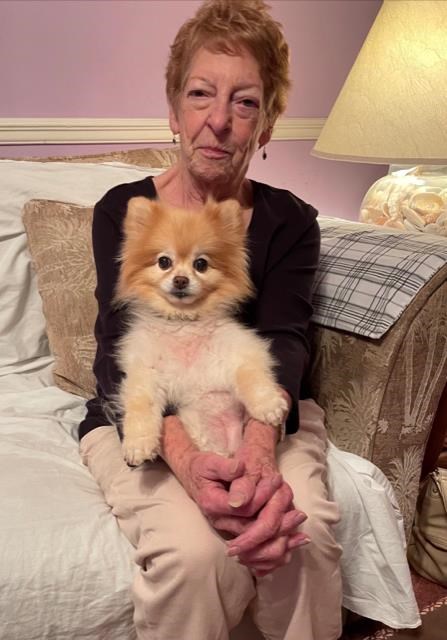 Obituary of Pauline Louise Novak