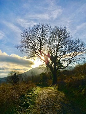 Obituary of John Paul Gutierrez