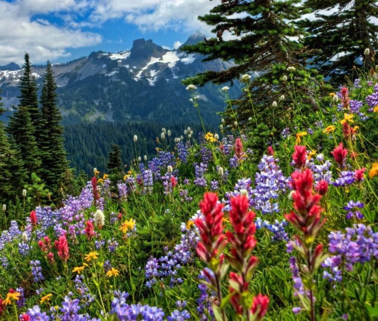 Obituary of Robin Johnston