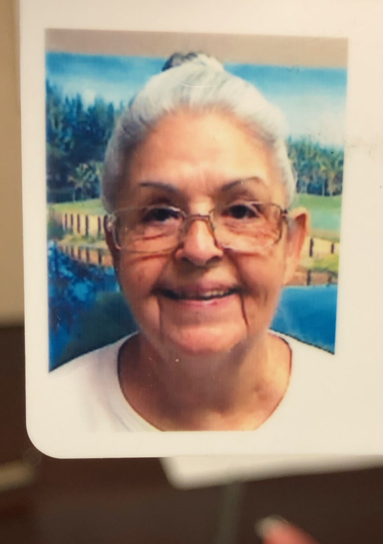 Obituary of Arelis Roman