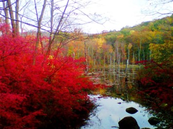 Obituary of Stanley E. Czuba