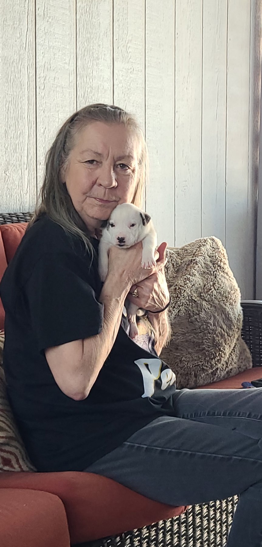 Obituary of Diana Jeanette Sloey