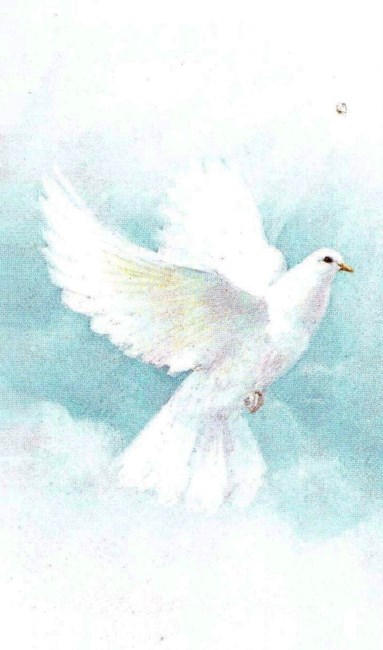 Obituary of John Anthony Scalisi