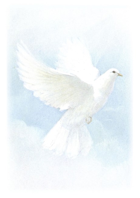 Obituary of Melanie Jean Matson