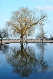 Obituary of Robert P. Beck