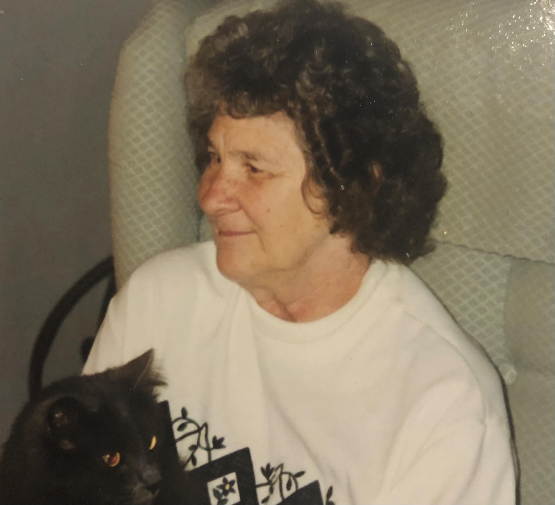 Barbara Williams Obituary Gotha, FL