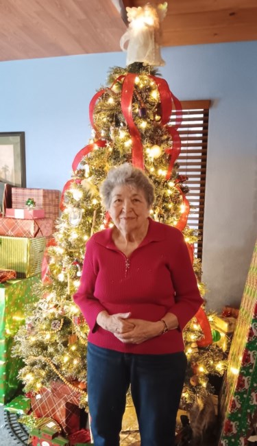 Avis de décès de JoAnn Mize