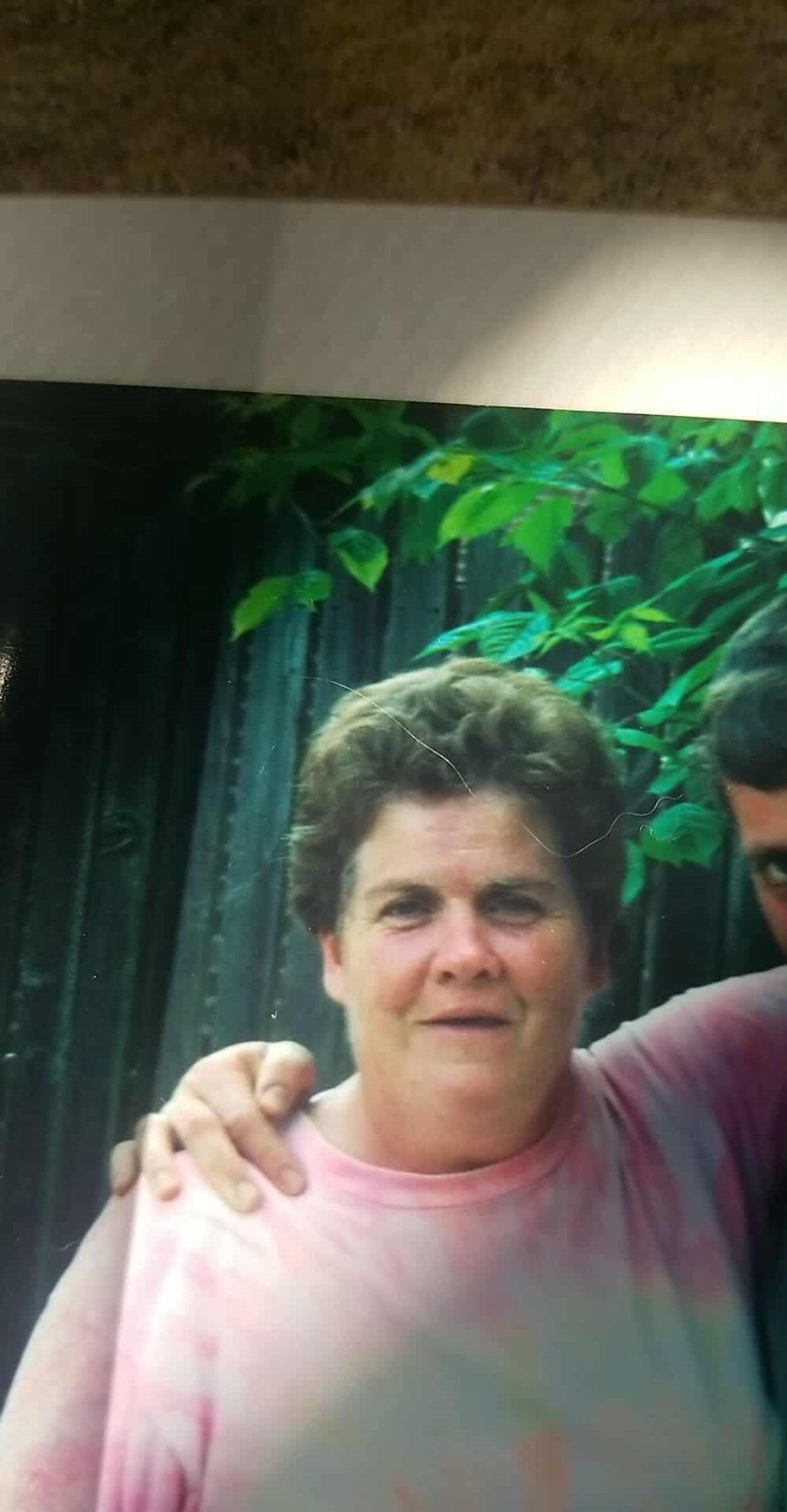 Obituary of Linda Lee Higgins