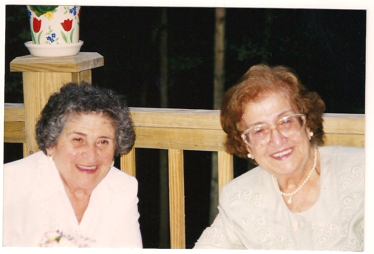 Obituary of Nabiha K. Nasr