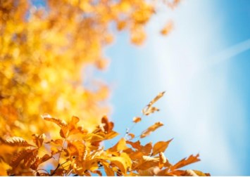 Obituary of Michael John Hope