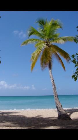 Obituary of Maria Benavente Ito