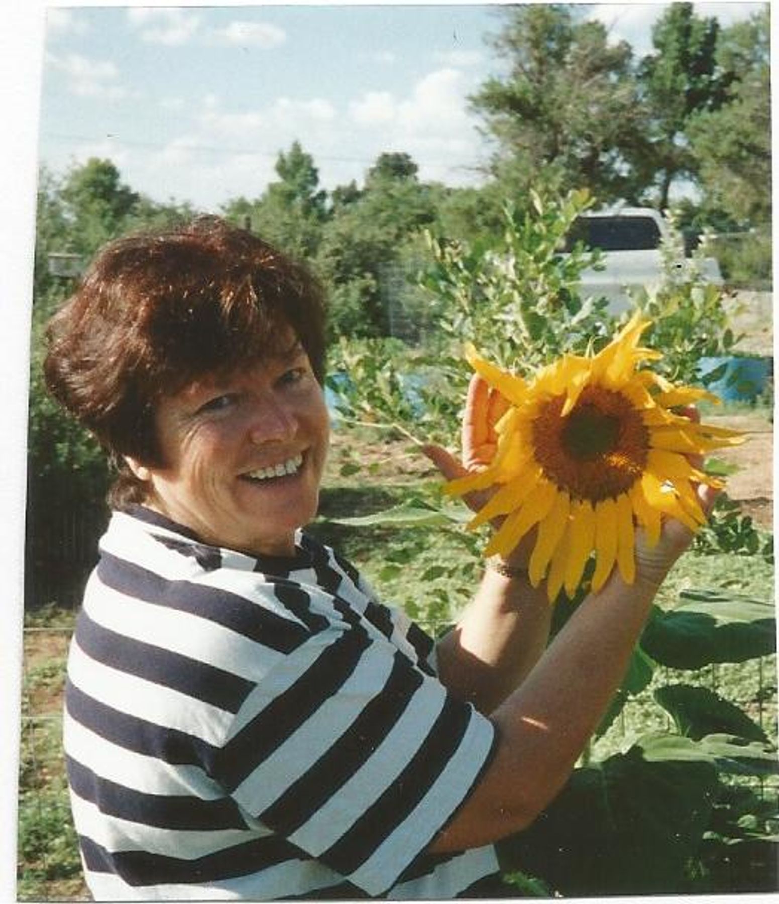 Obituary of Norma Lee Richey
