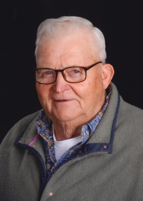Obituary of Lyle Glenn Salmon