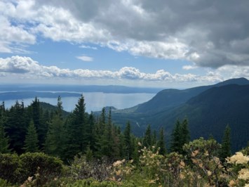 Obituary of Rosemary Ann Lehman