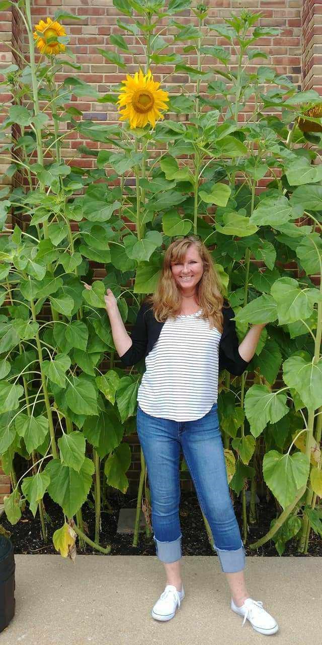 Obituary of Heather Lea Taylor