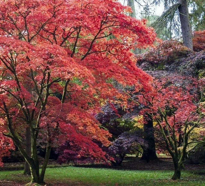 Obituary of Ronald Albert Becker