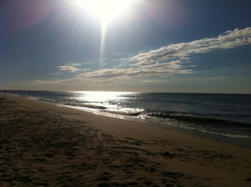 Obituary of Sophie K Lougee