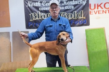 Obituary of Mr. Earnest Ray Sparks