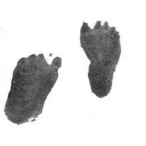 Obituary of Olivia Grace Tatz