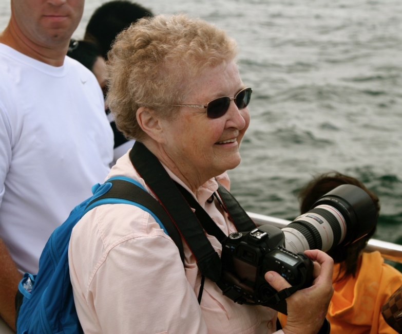 Obituary of Julie O'Neil