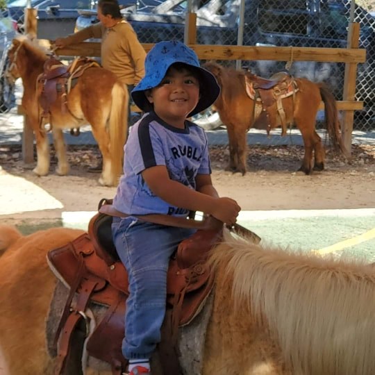 Obituary of Anthony Rojo De Leon