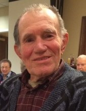 Viktor Michel Obituary - Arlington Heights, IL