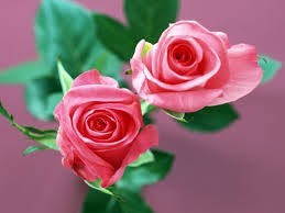 Obituary of Loretta Selzner
