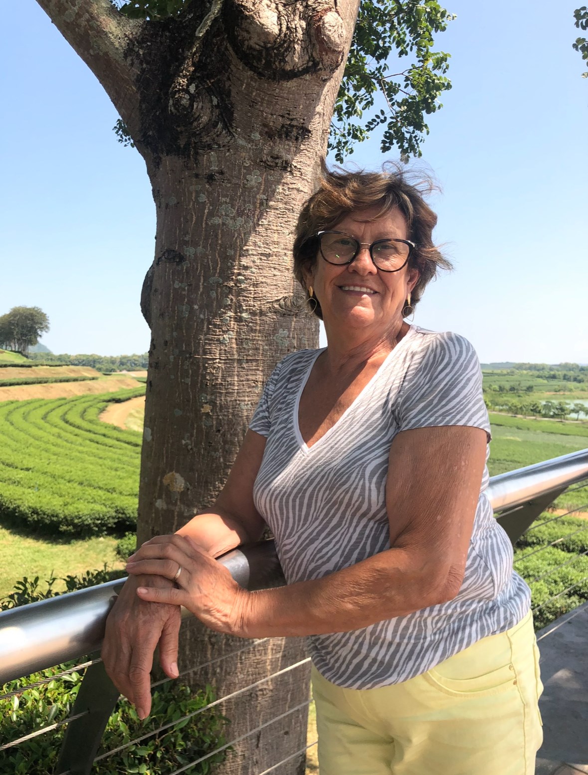 Obituary of Antonia Veloso Silva