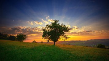 Obituary of Albert Belva