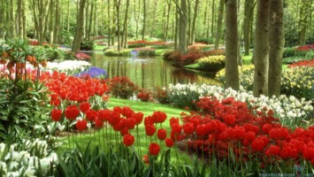 Obituary of Geraldine "Jerry" Welch