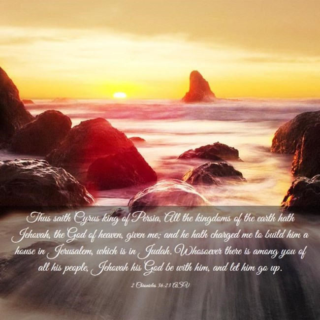 Obituary of Johnathan Salvatore Sallese