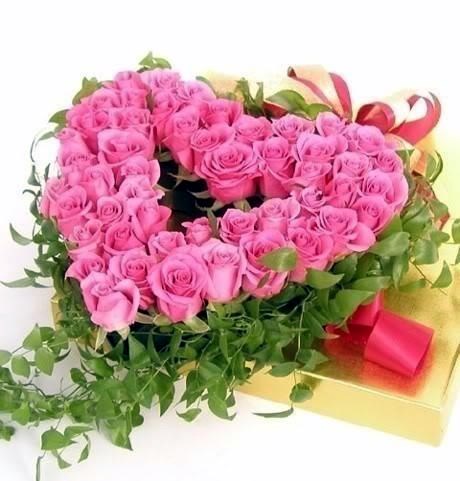 Obituary of Wynelle Lee Brown