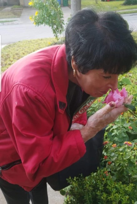 Obituary of Brenda Eileen Lowery